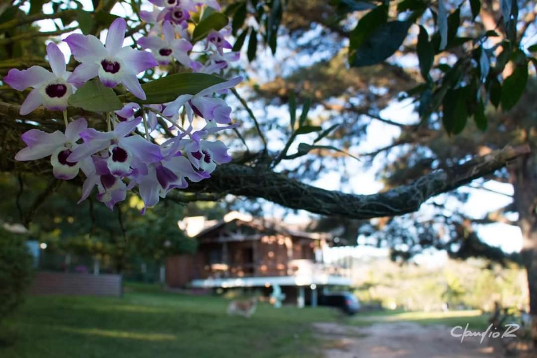 Linda Casa De Campo Viamão エクステリア 写真