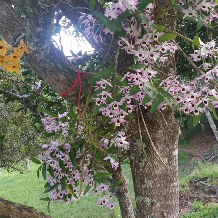 Linda Casa De Campo Viamão エクステリア 写真