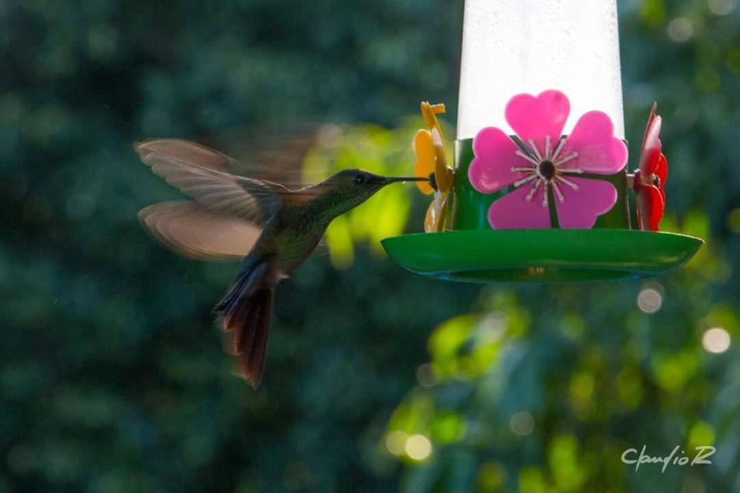 Linda Casa De Campo Viamão エクステリア 写真